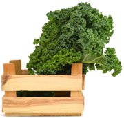 Alkaline Diet Foods - Kale