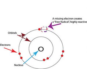 Free Radicals - Wikipeida